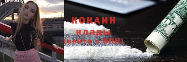 прущие грибы Зеленокумск
