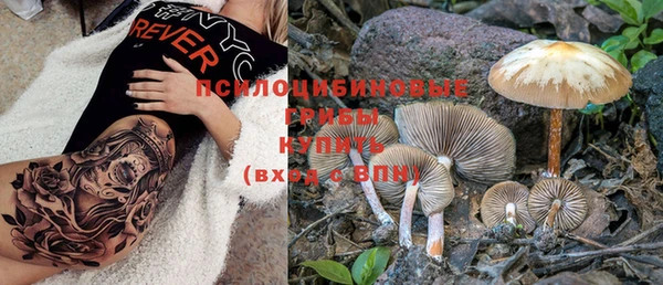 прущая мука Абаза